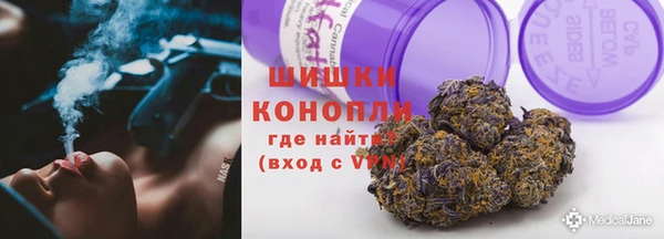 сатива Бугульма