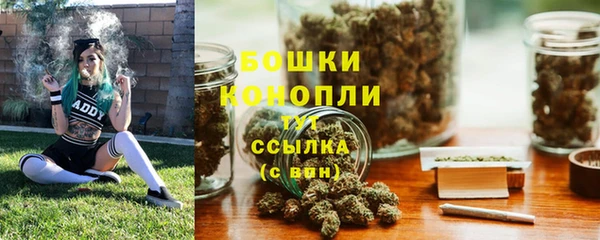 таблы Бородино