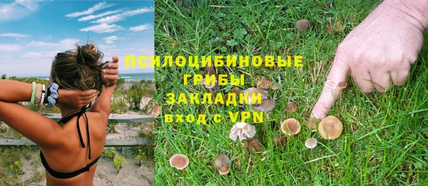 сатива Бугульма