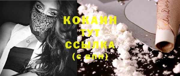 сатива Бугульма