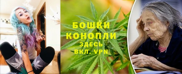 сатива Бугульма