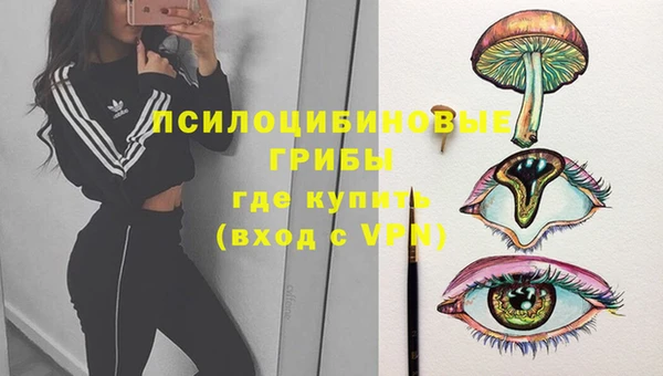 таблы Бородино