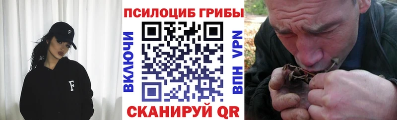 хочу   Самара  Галлюциногенные грибы Cubensis 